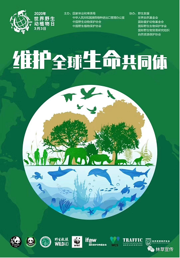 AG真人娱乐- AG真人平台(集团)官方网站